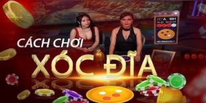CÁCH ĐÁNH XÓC ĐĨA CHẮC THẮNG TỪ A-Z CHO NGƯỜI MỚI BẮT ĐẦU