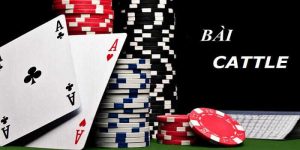 Bài Catte Là Gì? Luật Chơi, Cách Chơi Và Mẹo Thắng Cho Tân Thủ